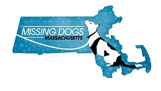 Missing Dogs Massachusetts website